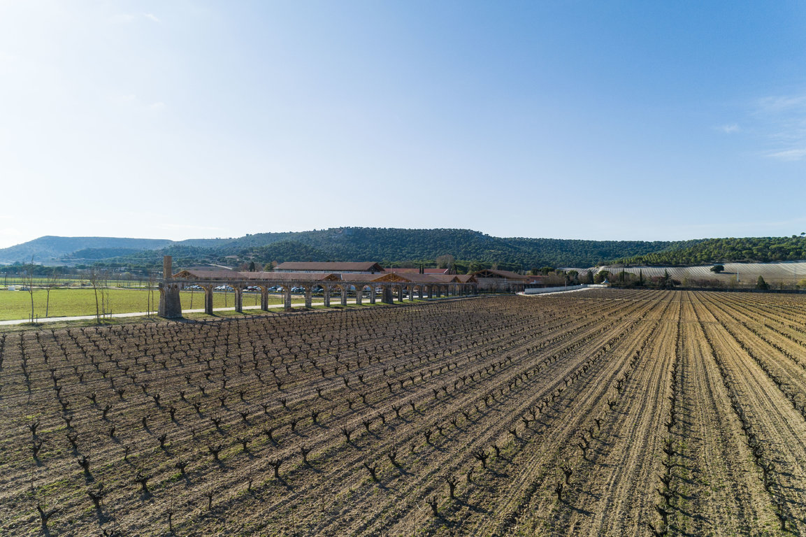 TVSViñedosMarzoAbril_14