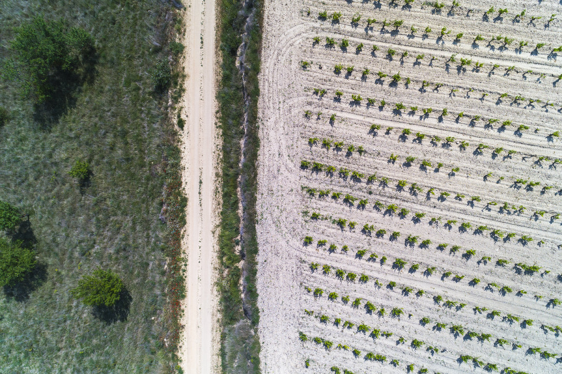 TVS_MacanViñedos_039